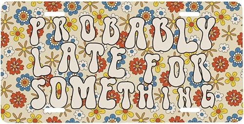 Miniatura 8 de Placa delantera retro con bandera americana y girasol para auto de mujer, placas decorativas de aluminio metálico, linda placa novedosa para hombre,