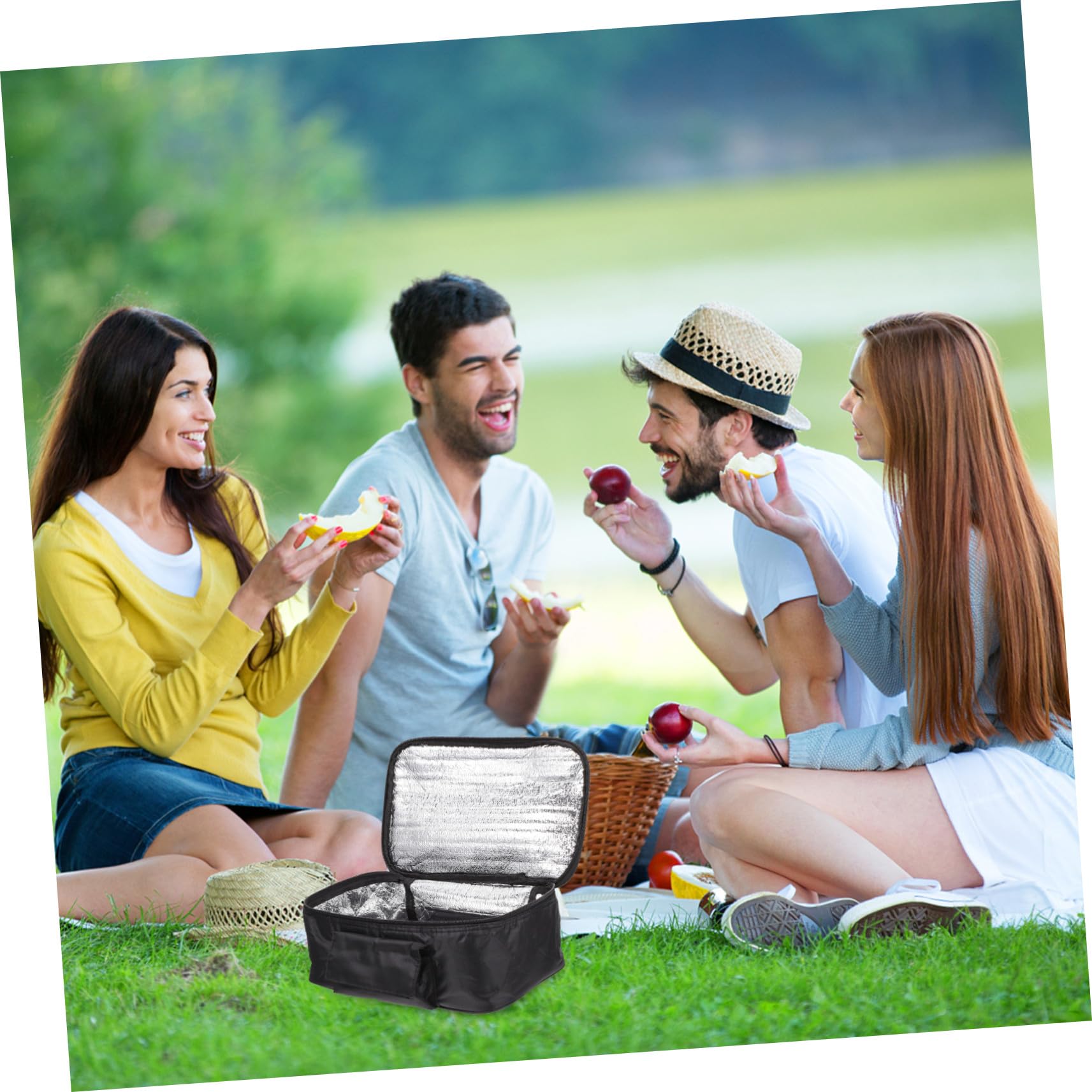 Hohopeti Lunch Thermotasche 1 Stück aus Oxford Stoff und Aluminiumfolie