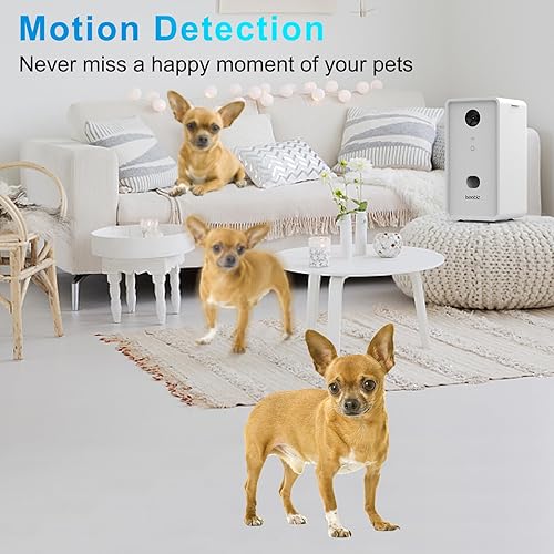 Iseebiz Pet Camera Treat Dispenser — packaging and what arrives in the box