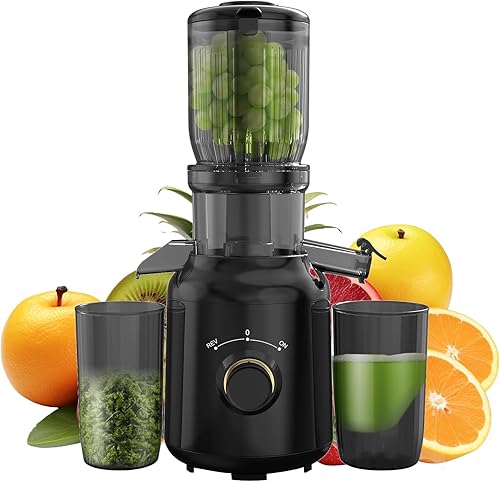 Exprimidor de prensa en frío para verduras y frutas, canal de alimentación grande de 4.1 pulgadas, potente exprimidor de masticación lenta, máquina