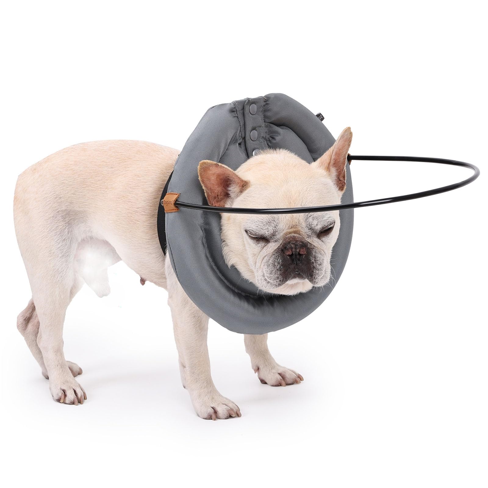 MeiAOBest Blind Dog Halo Guiding Device,Pet Anti-Collision Ring Protective Collar,Comfortable Lightweight Blind Dog Safe Accessories_M