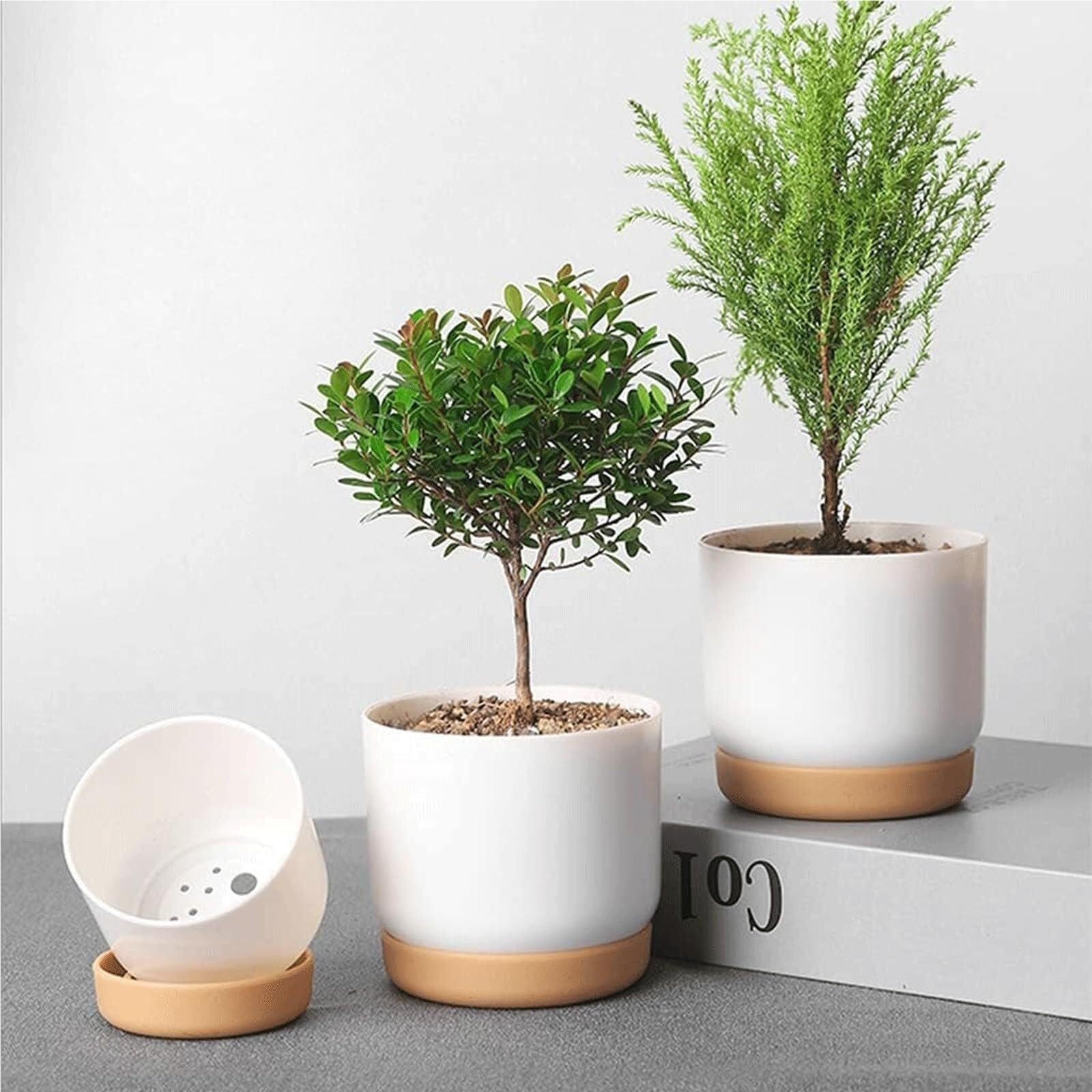 Jardinières décoratives Lot de 2 Pots Fleurs à arrosage Automatique, en Plastique Les indispensables du Jardin(#L)