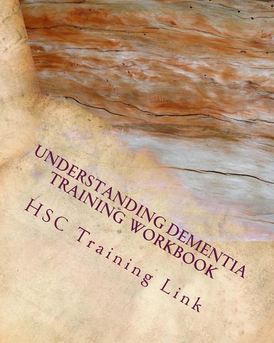 Understanding Dementia: Health and Social Care Training Workbook: Volume 1 (Health and Social Care Training Resources)