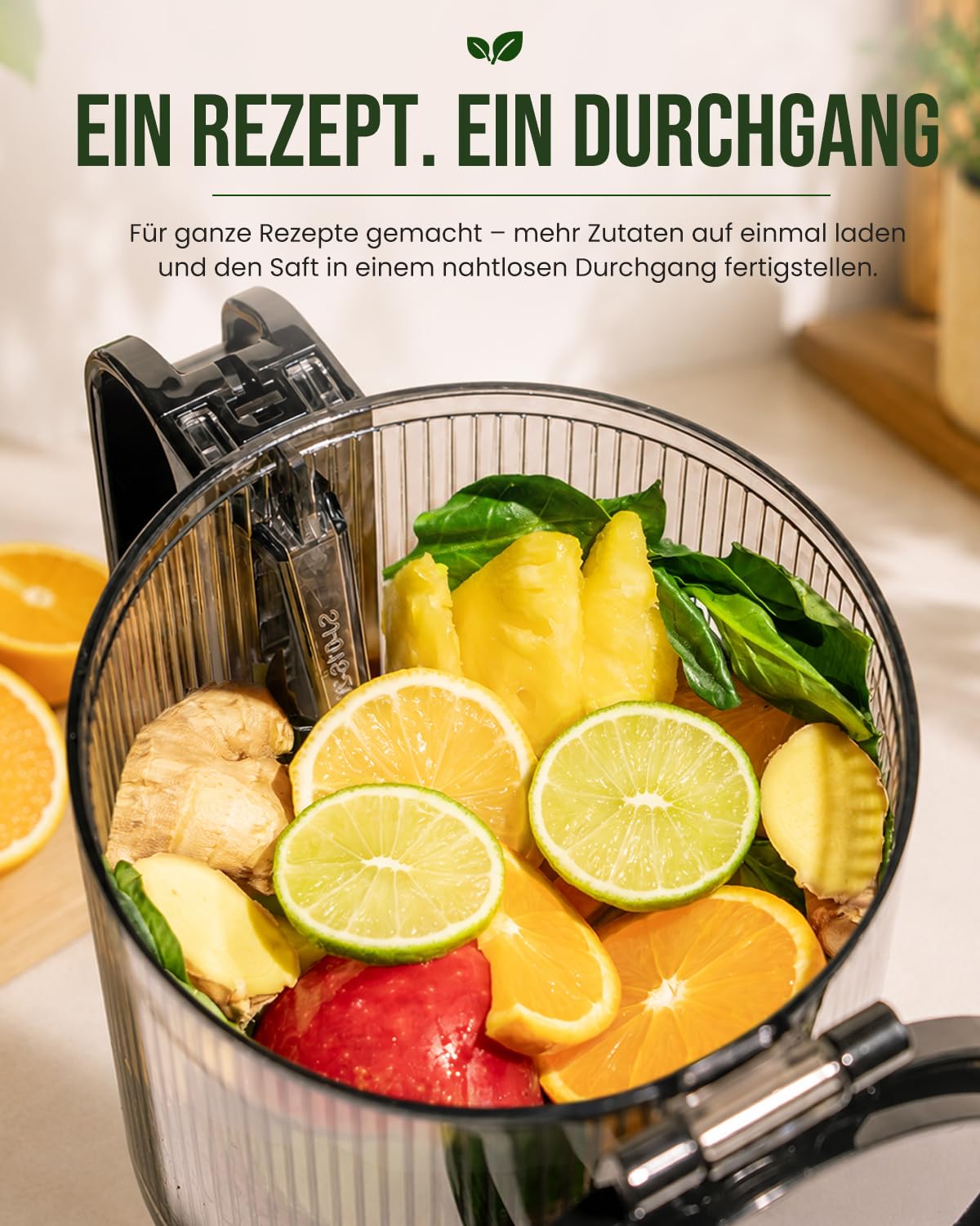 LINKChef Entsafter Slow Juicer, 130 mm große Öffnung, Entsafter Gemüse und Obst, 1,8 L Kapazität, 250W Elektrischer Juicer mit Rücklauffunktion, Leise, Einfache Montage, Leicht zu Reinigen, BPA-frei