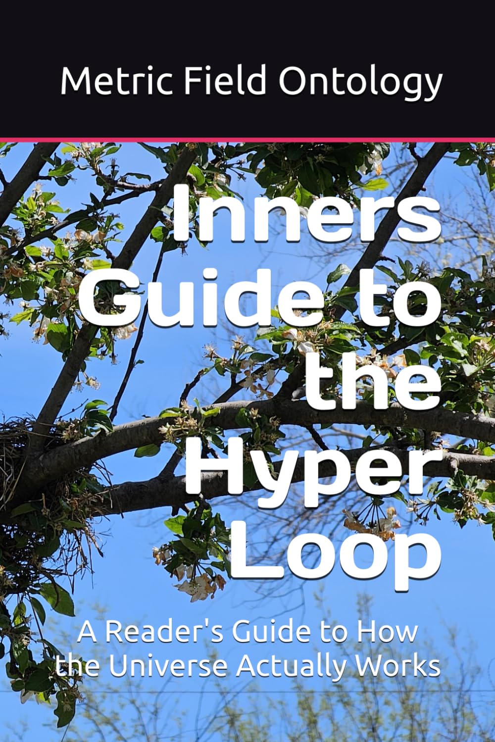 Inners Guide to the Hyper Loop: A Reader's Guide to How the Universe Actually Works (Metric Field Ontology)