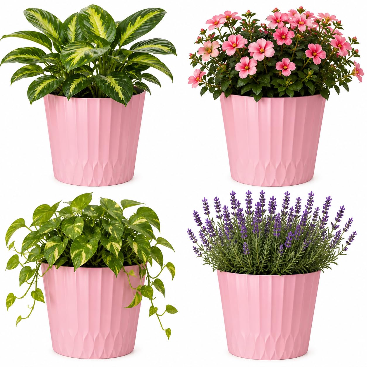Muddy Hands Decorative Pink Plant Pot with Clip-On Saucer – Indoor & Outdoor Round Plastic Planter for Flowers, Herbs & House Plants, Stylish Durable Flower Pot with Drainage Holes (4, 1 Litre)