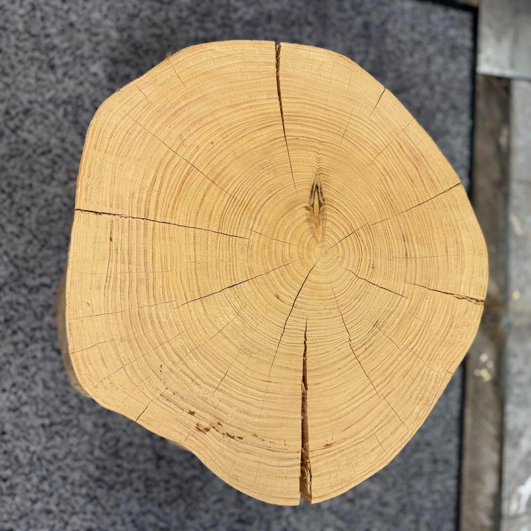 H149天然ヒノキ丸太切り株ちゃぶ台テーブル飾り台 - WWW.PREMIERCO-OP.COM