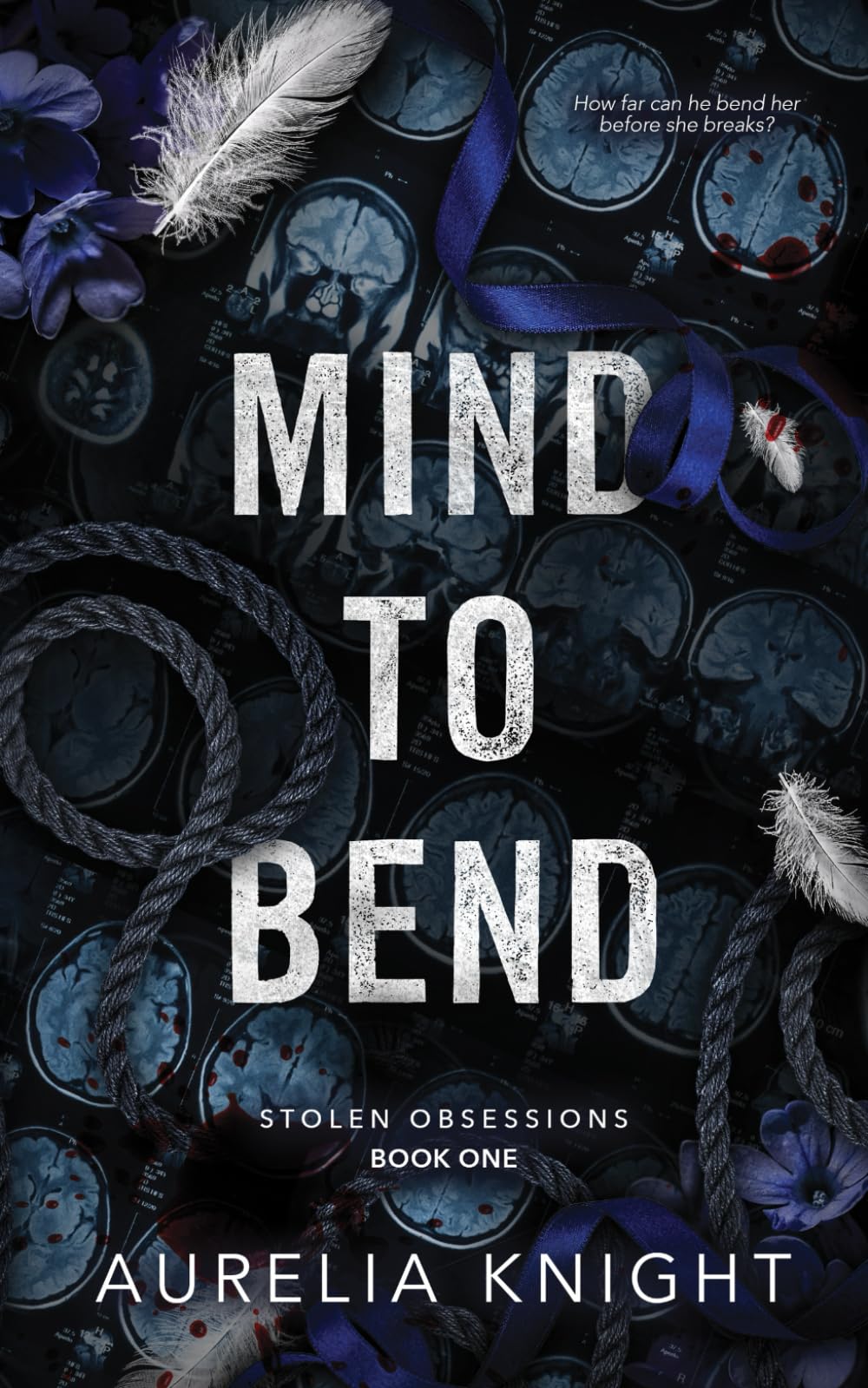 Mind to Bend: 1 (Stolen Obsessions)
