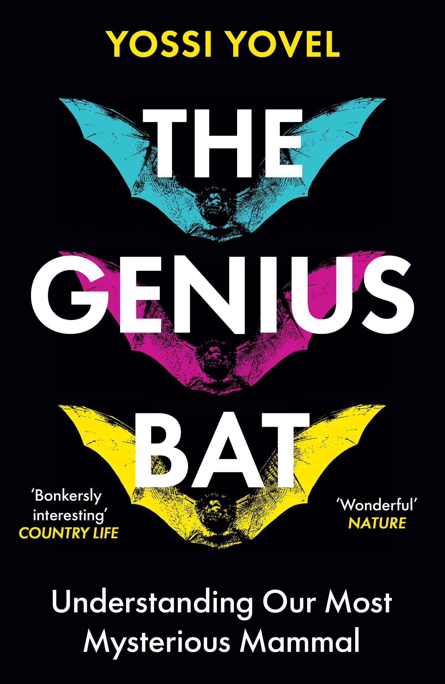 The Genius Bat: Understanding Our Most Mysterious Mammal