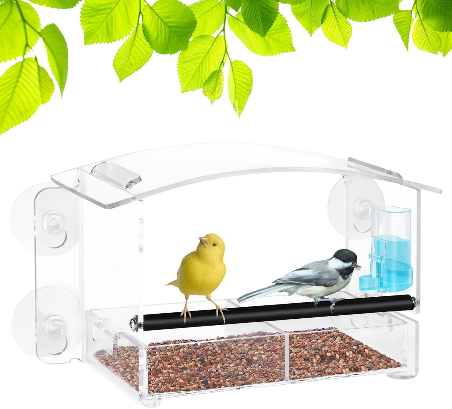 Window Bird Feeder with Strong Suction Sups Transparent Window