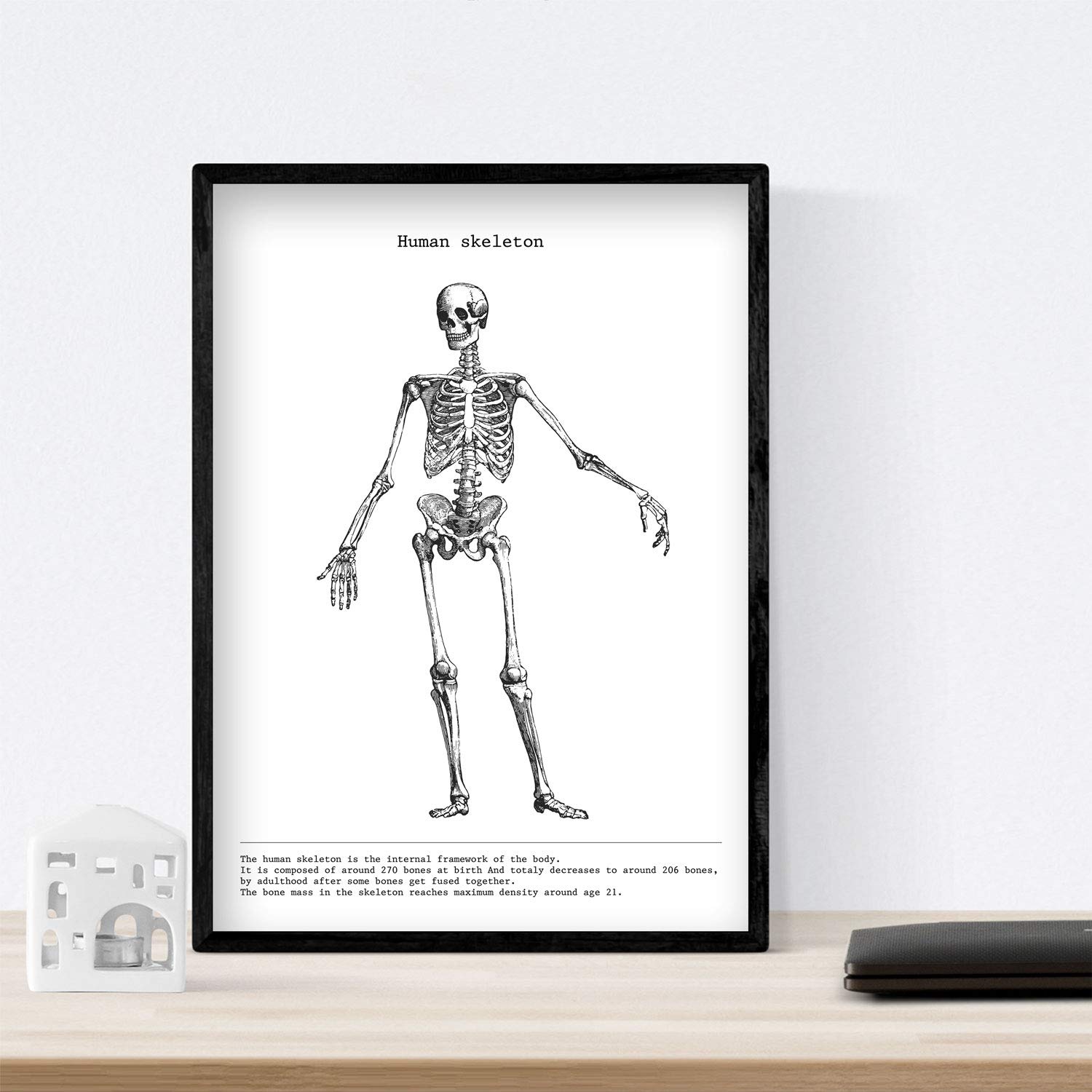 Poster Anatomia Cervello Umano - Stampa Dettagliata In Bianco E Nero, Formato A3, Per Studio O Decorazione