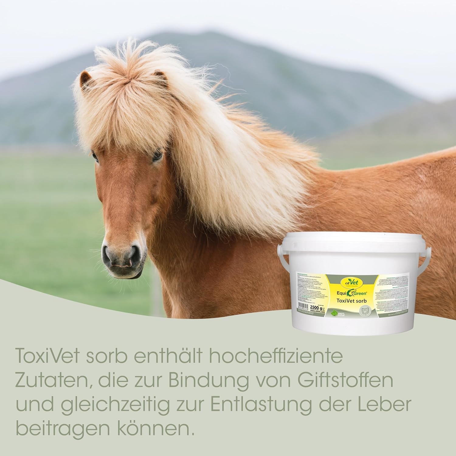 EquiGreen ToxiVet Sorb Pellets 3 kg | Ergänzungsfuttermittel zur bedarfsgerechten Fütterung von stoffwechselempfindlichen Pferden mit Toxin bindenden und präbiotischen Eigenschaften