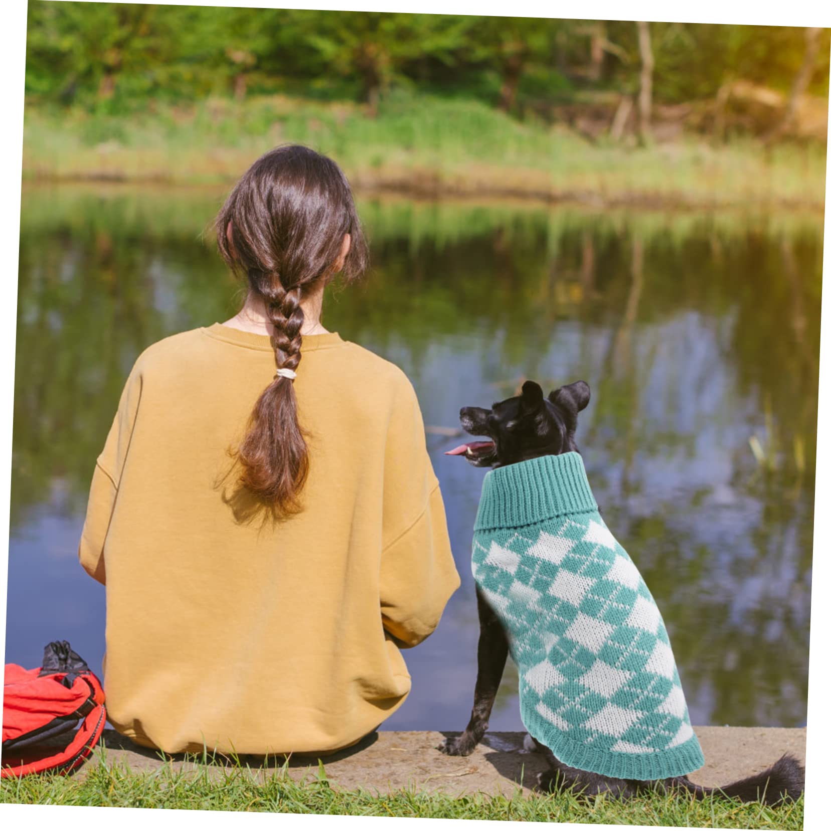 Mipcase 4pièces Pull pour Chien Tricot Classique à Carreaux Vêtements Hiver Confortables pour Animaux De Compagnie Parfait pour Photos Occasions Spéciales