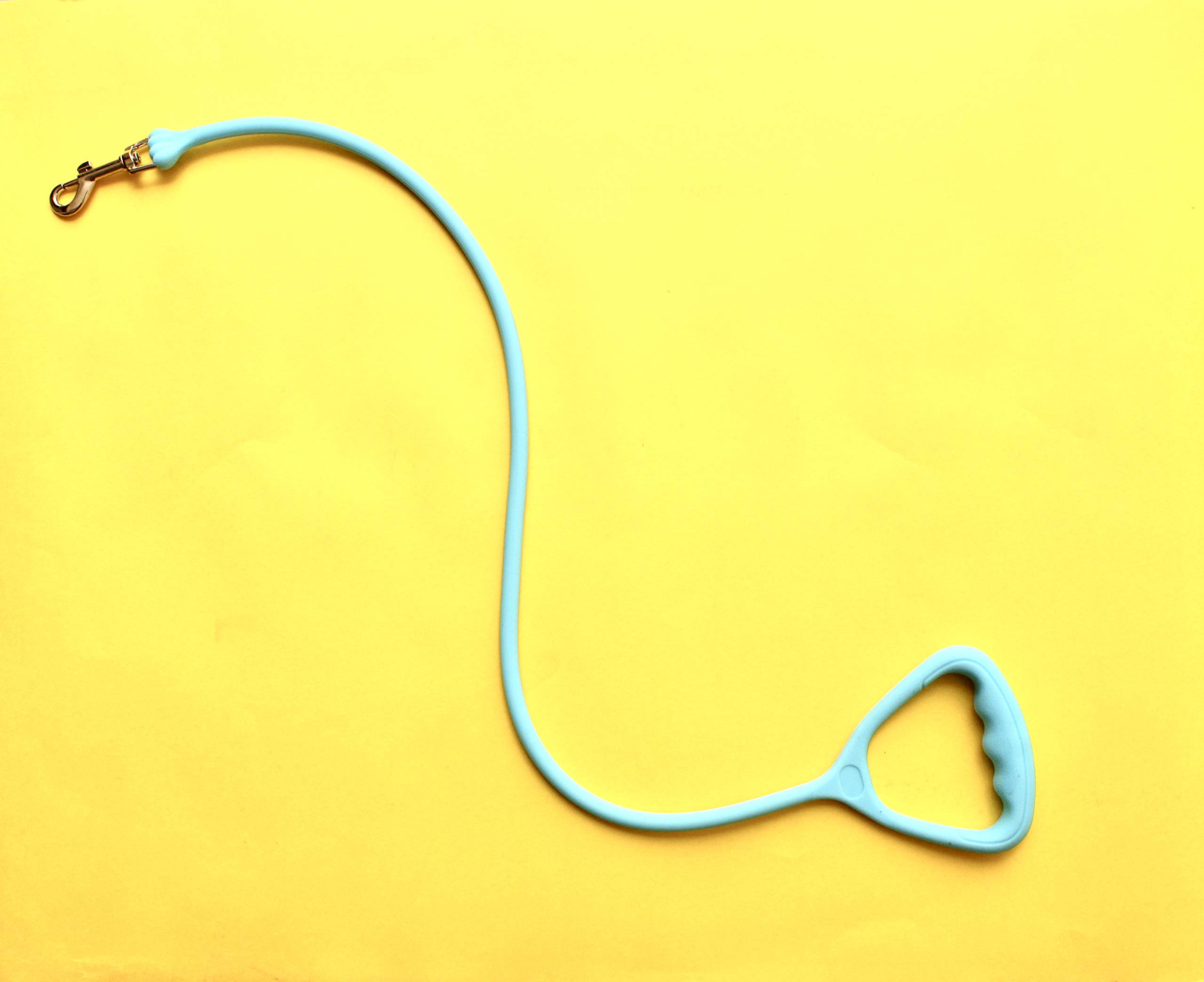 Dog Leash/Silicone Rubber Waterproof Leash with Handle for Small Breeds/Size: H-33.5 Inch/TAIYO PLUSS DISCOVERY (Sky Blue) (B08C37X3D4) Amazon Price History, Amazon Price Tracker