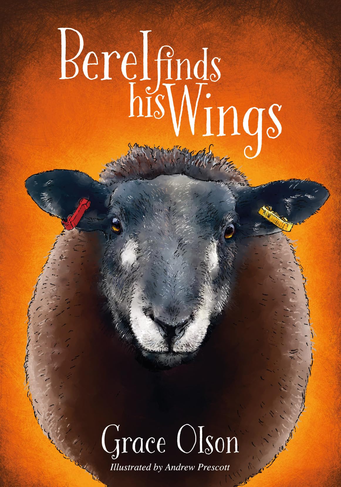 Berel Finds His Wings by Grace Olson (Paperback Book)