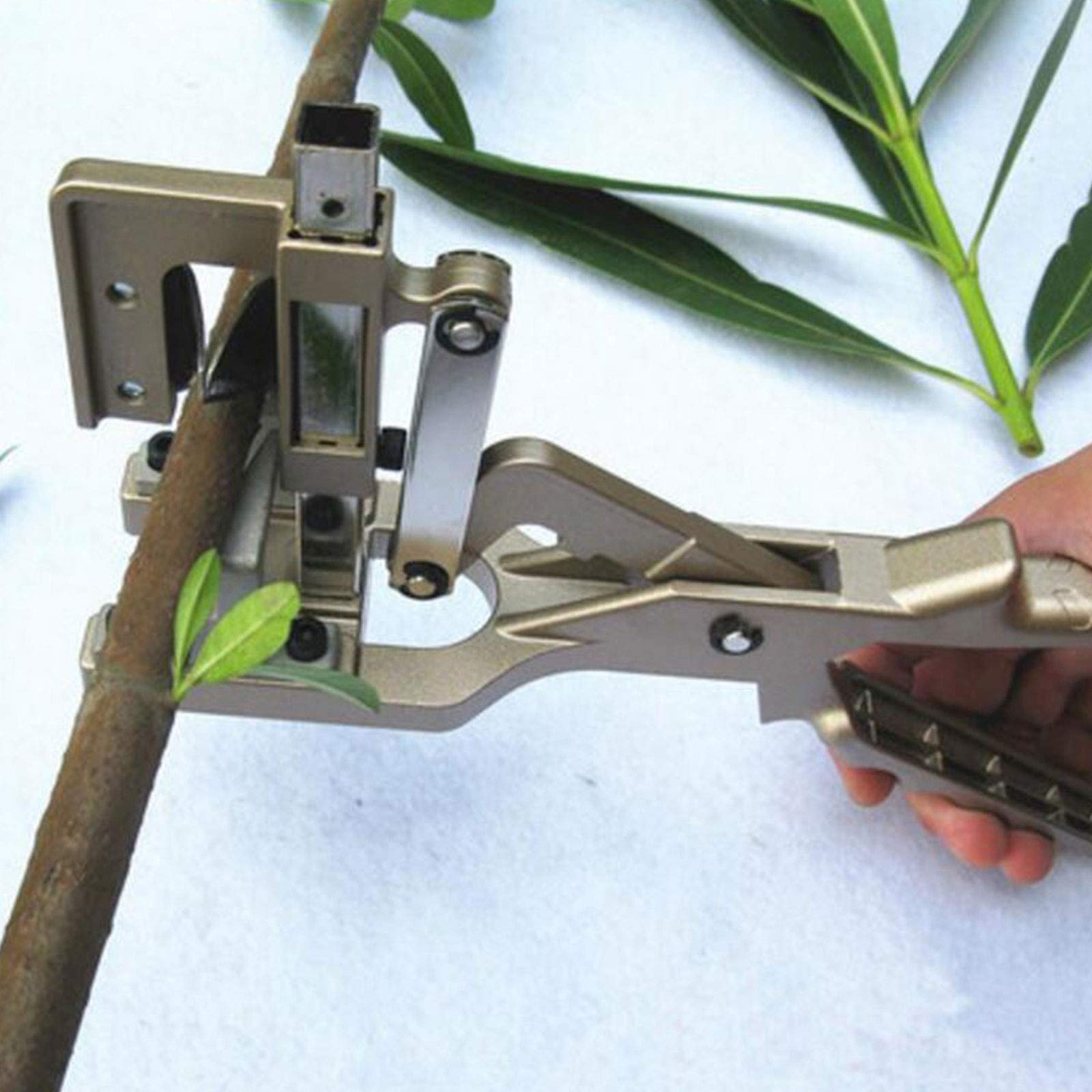 Attrezzi da Giardino Innesto Pruner Kit Chopper Albero Pianta Shears Scissor Graft con Film Tape Garden Tools, Alto Tasso di Sopravvivenza, Facile da Usare