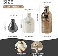 Vista 6 de Juego de 3 jarrones de cerámica Jarrones decorativos para decoración del hogar Jarrón de flores Pampass boho moderno neutro para sala de estar