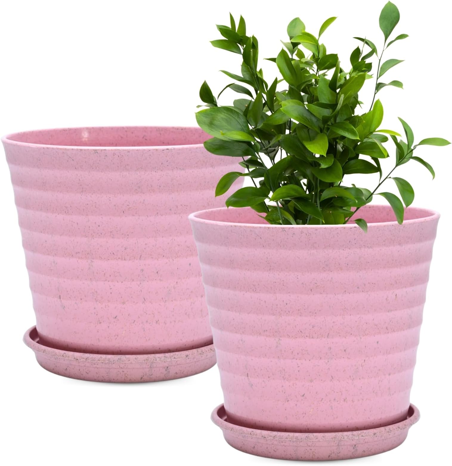 Eha Set of 2 Earth-Friendly Linea 7.5" Pots for Plants | Bamboo Based Plant Pots | UV Protected | Flower Pot for Indoor, Home Decor, Outdoor, Balcony & Garden | Innocent