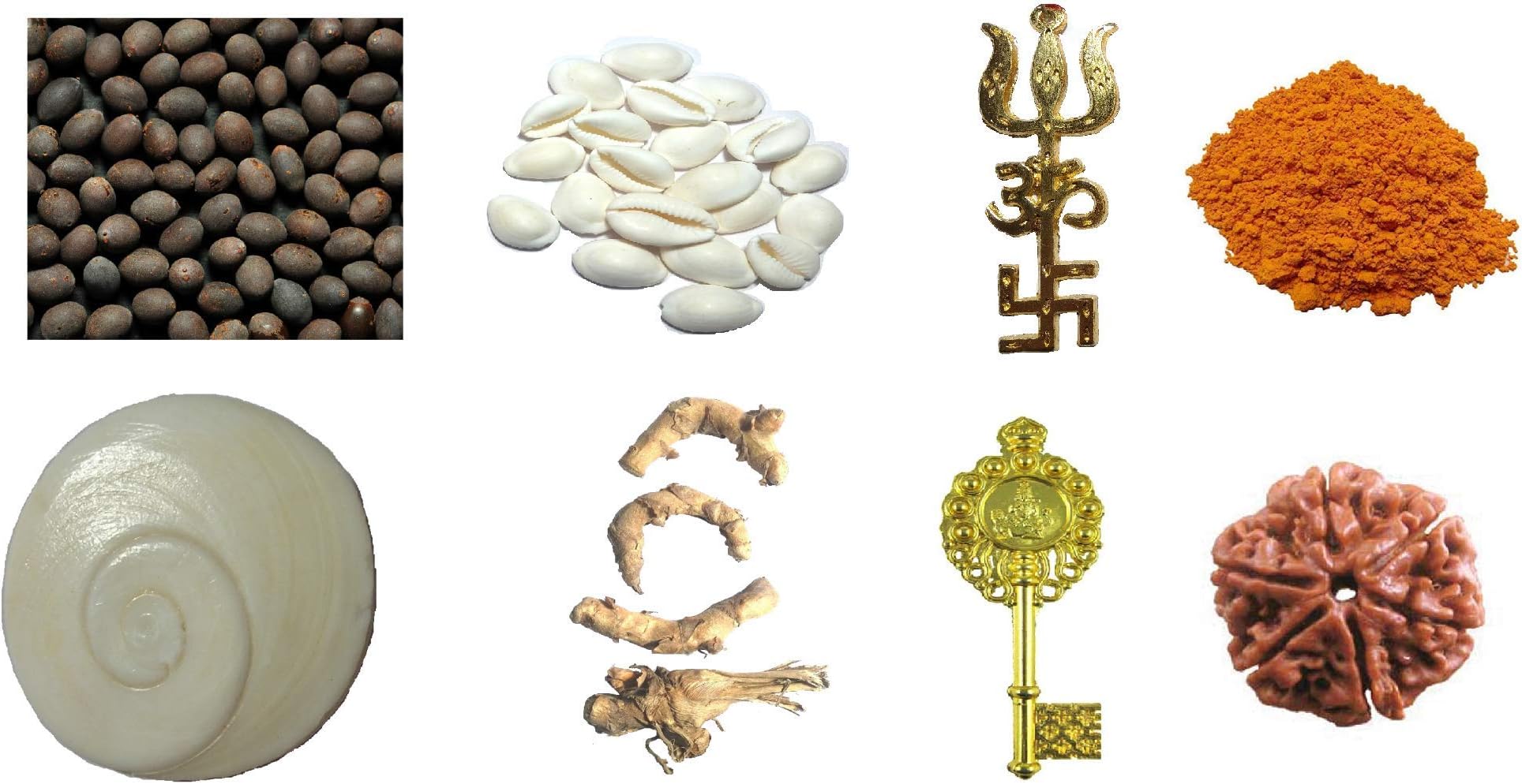 CHEZEL® Combo of Lotus Seed White LAXMI Cowry GOMTI Chakra (21 PCS Each) Kali HALDI Dry 4 PCS TRISHAKTI Yantra KUBER KUNJI 6 MUKHI RUDRAKSHA (1 PC Each) ASTAGANDHA Chandan 25 GMS