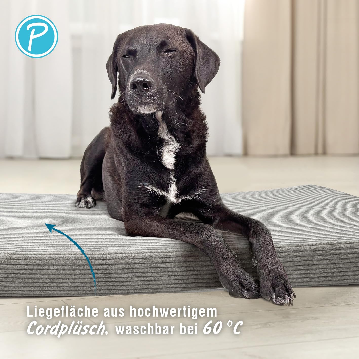 Petlando Orthopädische Hundematte LikeOrtho Luke – ergonomisches Hundebett mit Eggfoam-Struktur, gelenkschonend, waschbarer Bezug, rutschfest, 100x65x10cm, kleine bis mittlere Hunde, grau