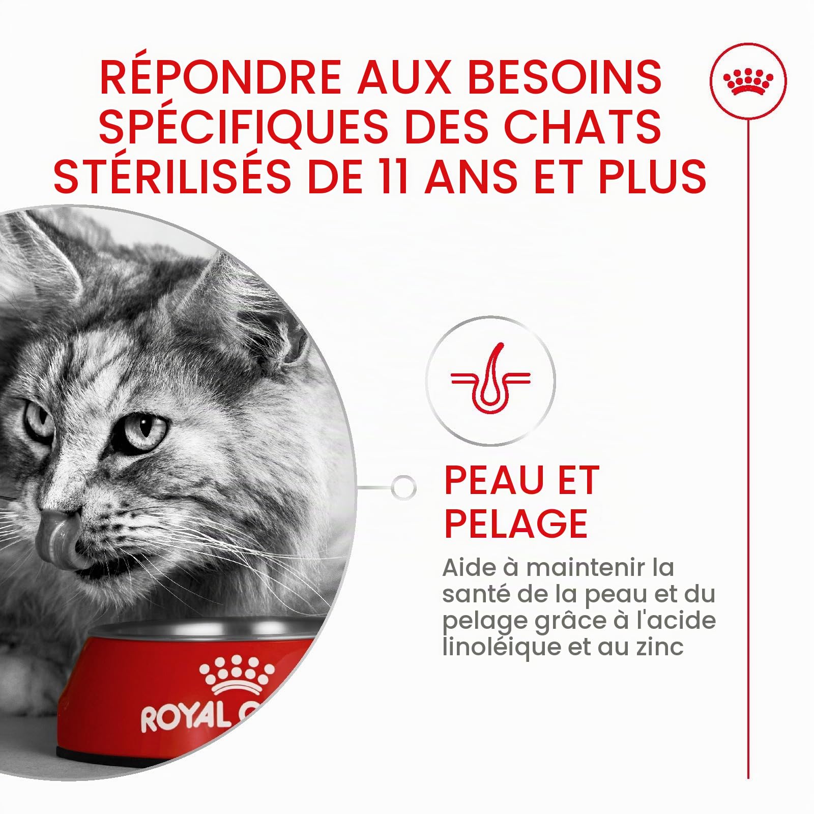 ROYAL CANIN AGEING 11+ | 2 kg | Croquettes pour Chats Seniors de Plus de 11 Ans | Formule avec Le Complexe HealthyAge7™ | Contient des croquettes faciles à mâcher
