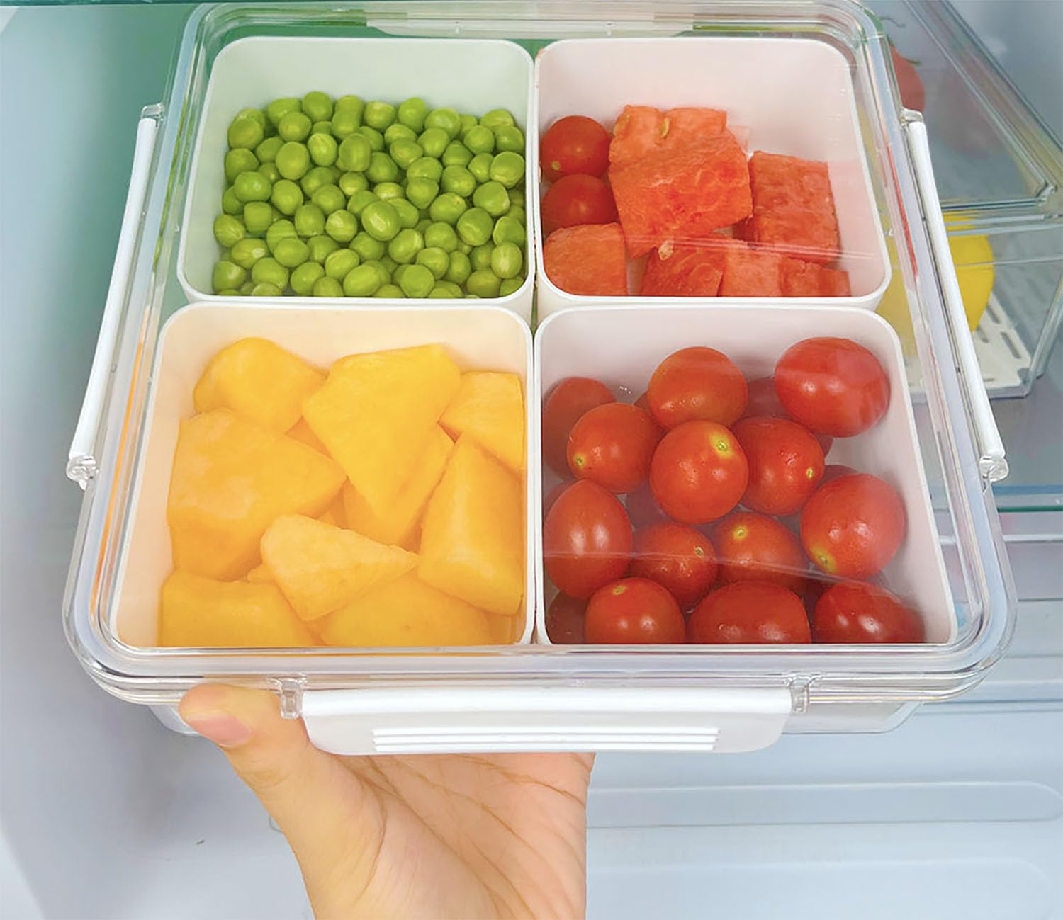 Snackteller mit Deckel, Snackbox mit Fächern,Kunststoff Obst-Servierbehälter,Snackschale Set Auslaufsicher, Snacktablett Organizer für Snacks, Süßigkeiten, Nüsse, Picknick