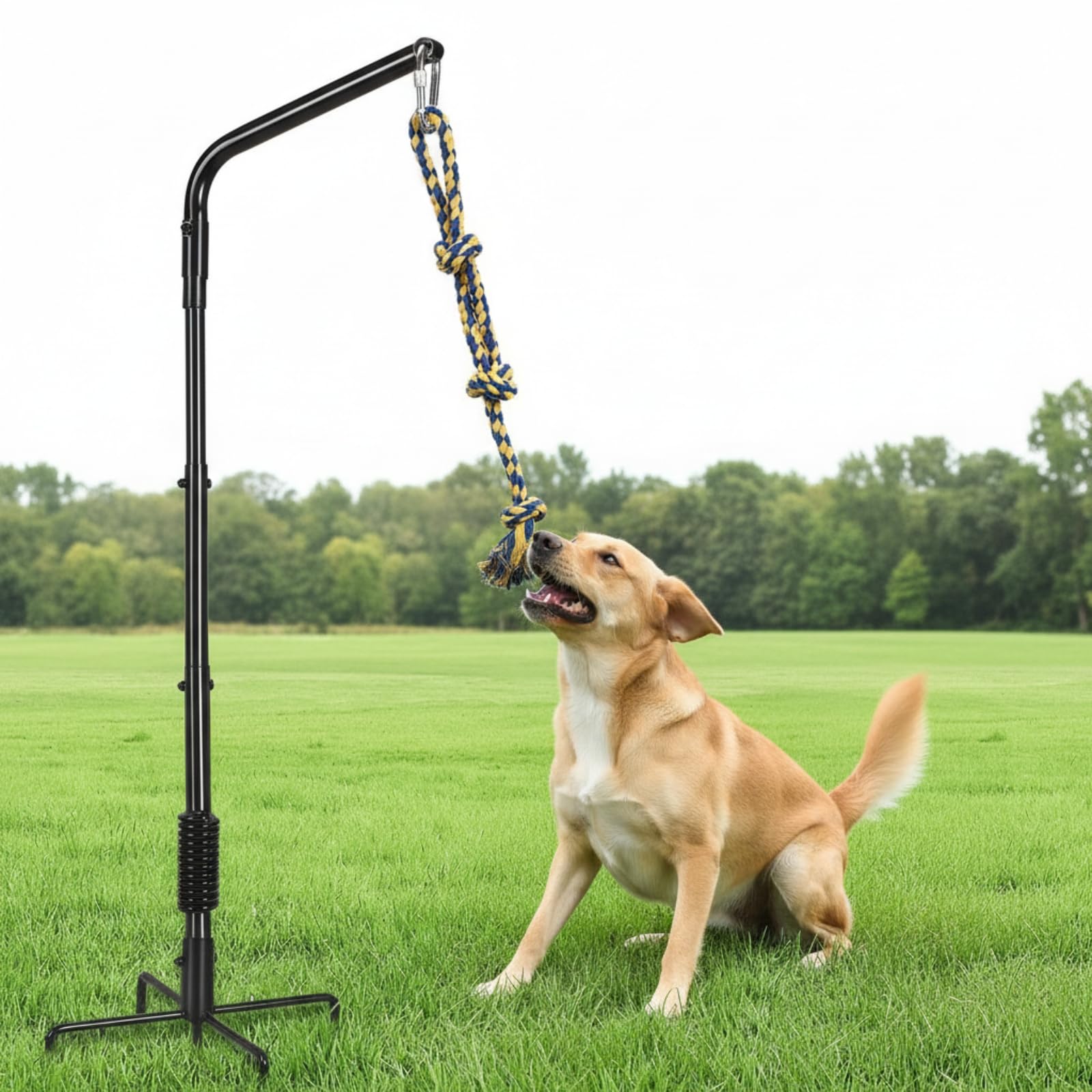 Drehbar Zerrspielzeug mit Bodenständer | Freihändig, federbelastet, Hundespielzeugständer mit Seil, für Garten, aktive Hunde