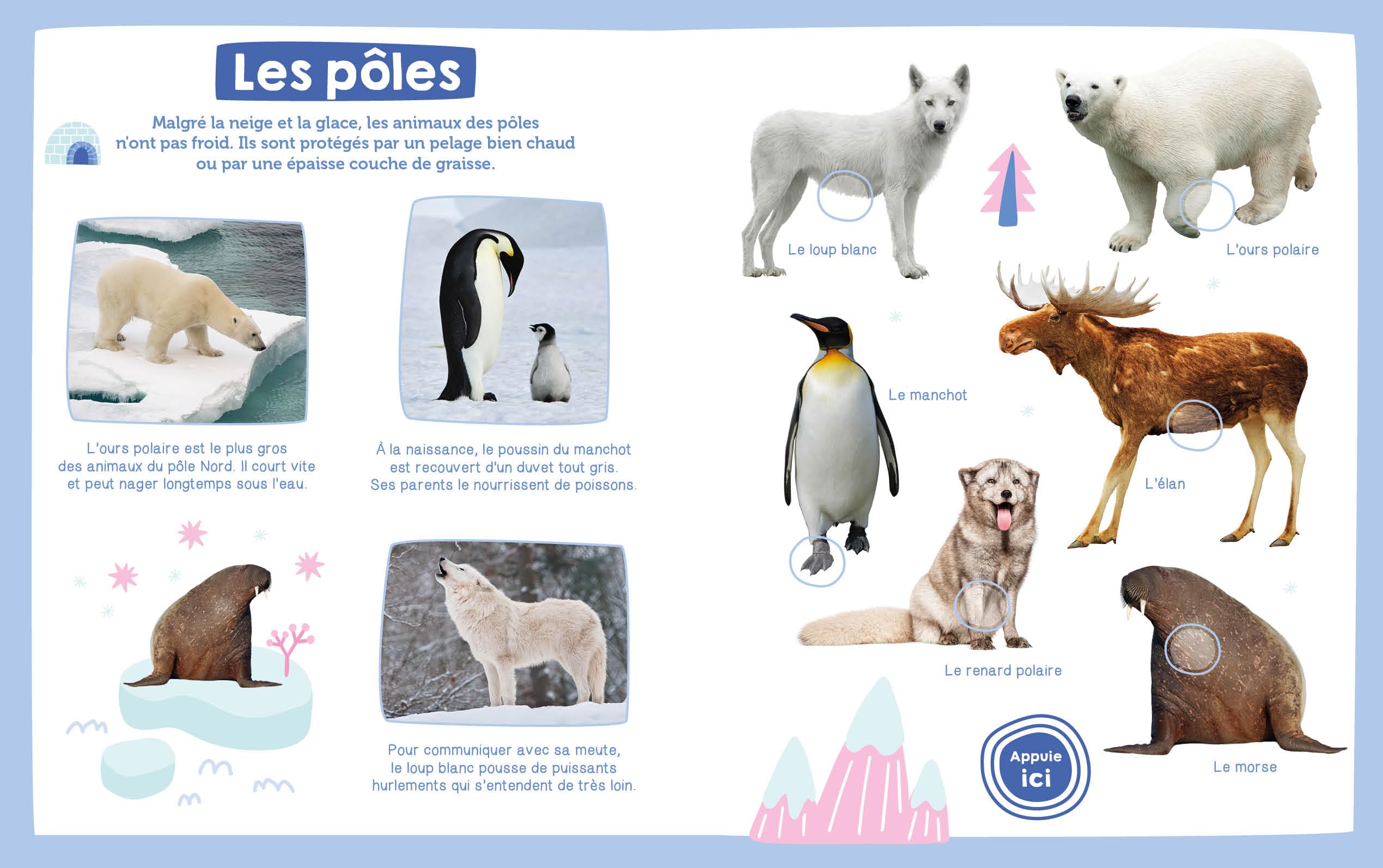 Mon imagier sonore - Les animaux sauvages Collectif - PT01