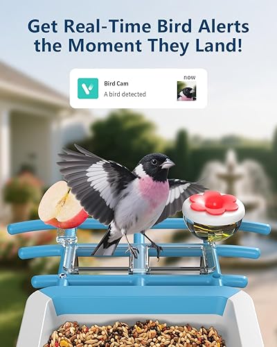 Miniatura 2 de Comedero para pájaros con cámara, alimentador solar inalámbrico para pájaros al aire libre, AI identifica más de 10000 especies de aves, captura