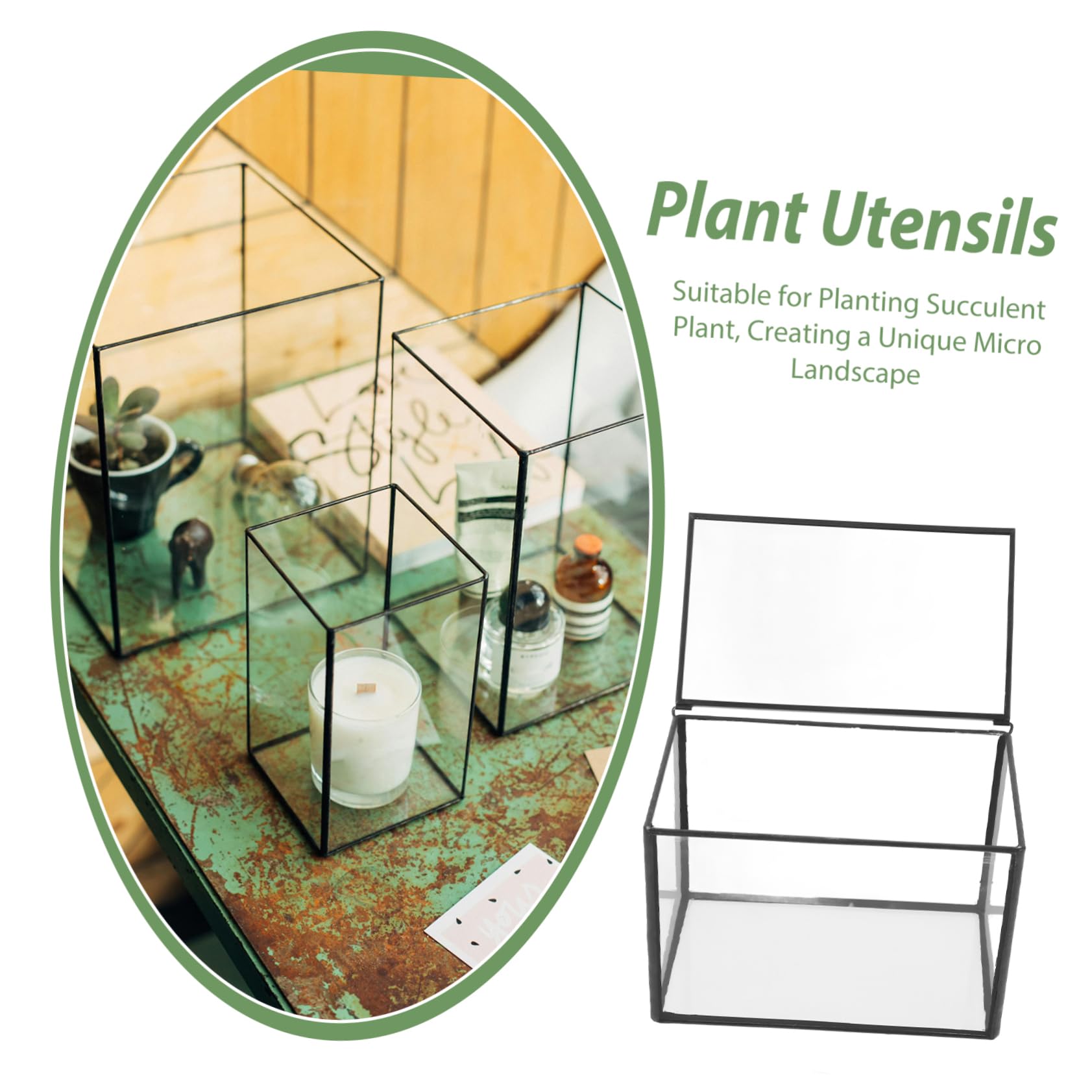 Kit per Terrario Piante in Vetro per Piante e Fiori, Terrario Fai da Te per Ufficio, Decorazione Semplice e Resistente