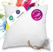 Lot De 4 Oreillers 100% Plumes 55x55 Cm - 750g - Housse Coton OekoTex - Coussin Remplissage Lavable