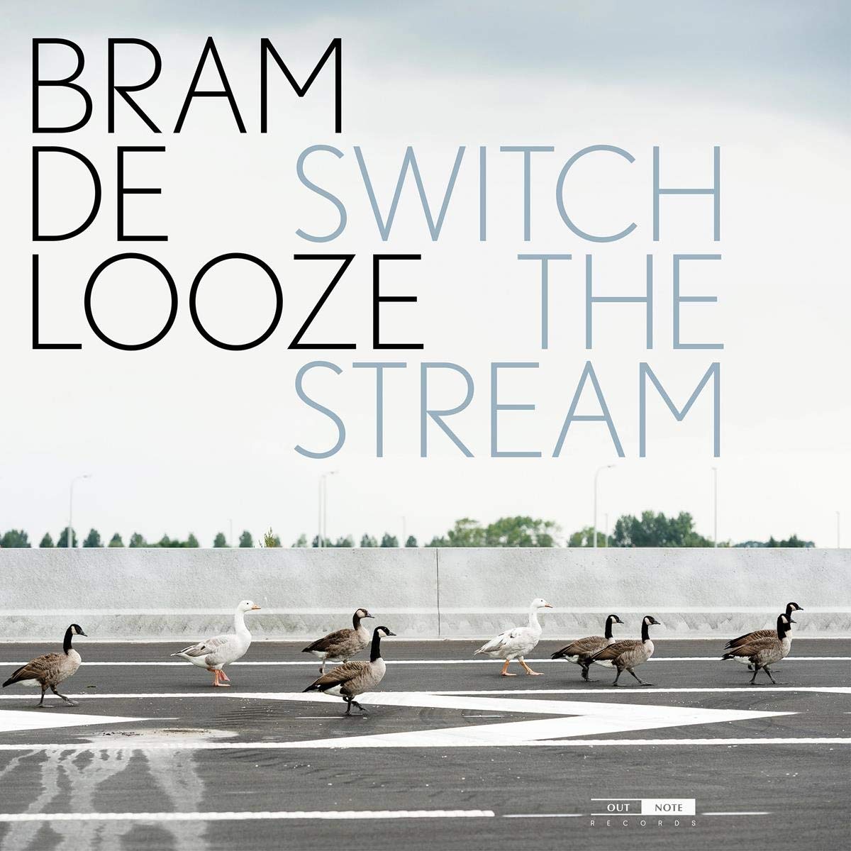 SWITCH THE STREAM (LP VERSION) - BRAM DE LOOZE