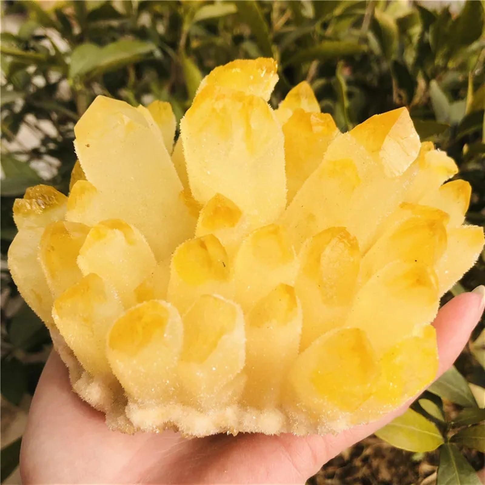 KJEBVHIRS Stone Citrine Phantom Quartz Crystal Cluster Gift(700-800g)