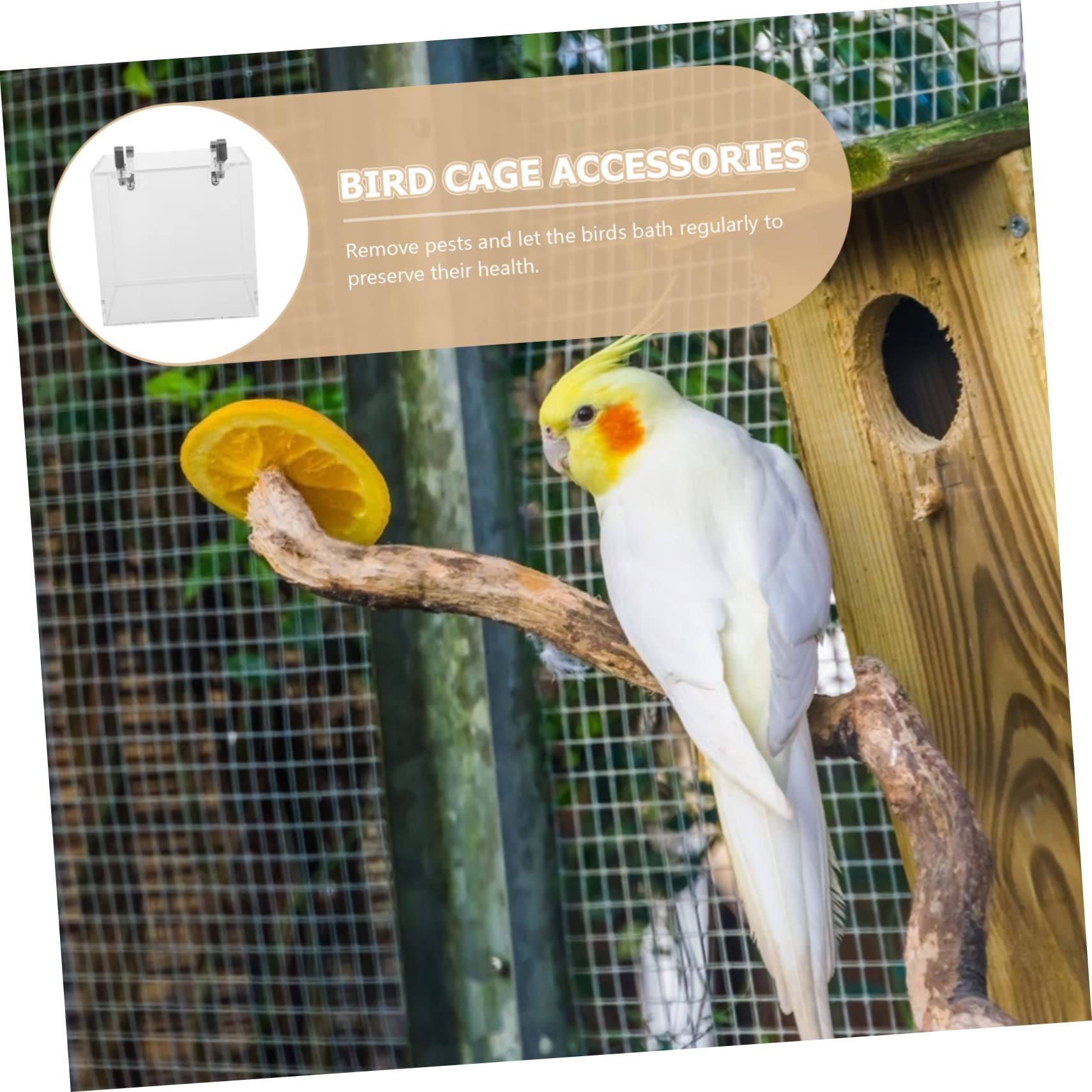 Vogelbadewanne aus Klarem Acryl Stabile und Spezielle Vogelkäfigzubehörbox für Papageien und Vögel für Zuhause und Vogeldusche im Käfig
