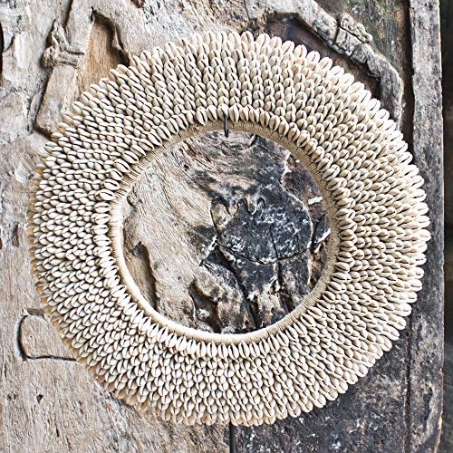 Papua New Guinea Small Shell Small Necklace