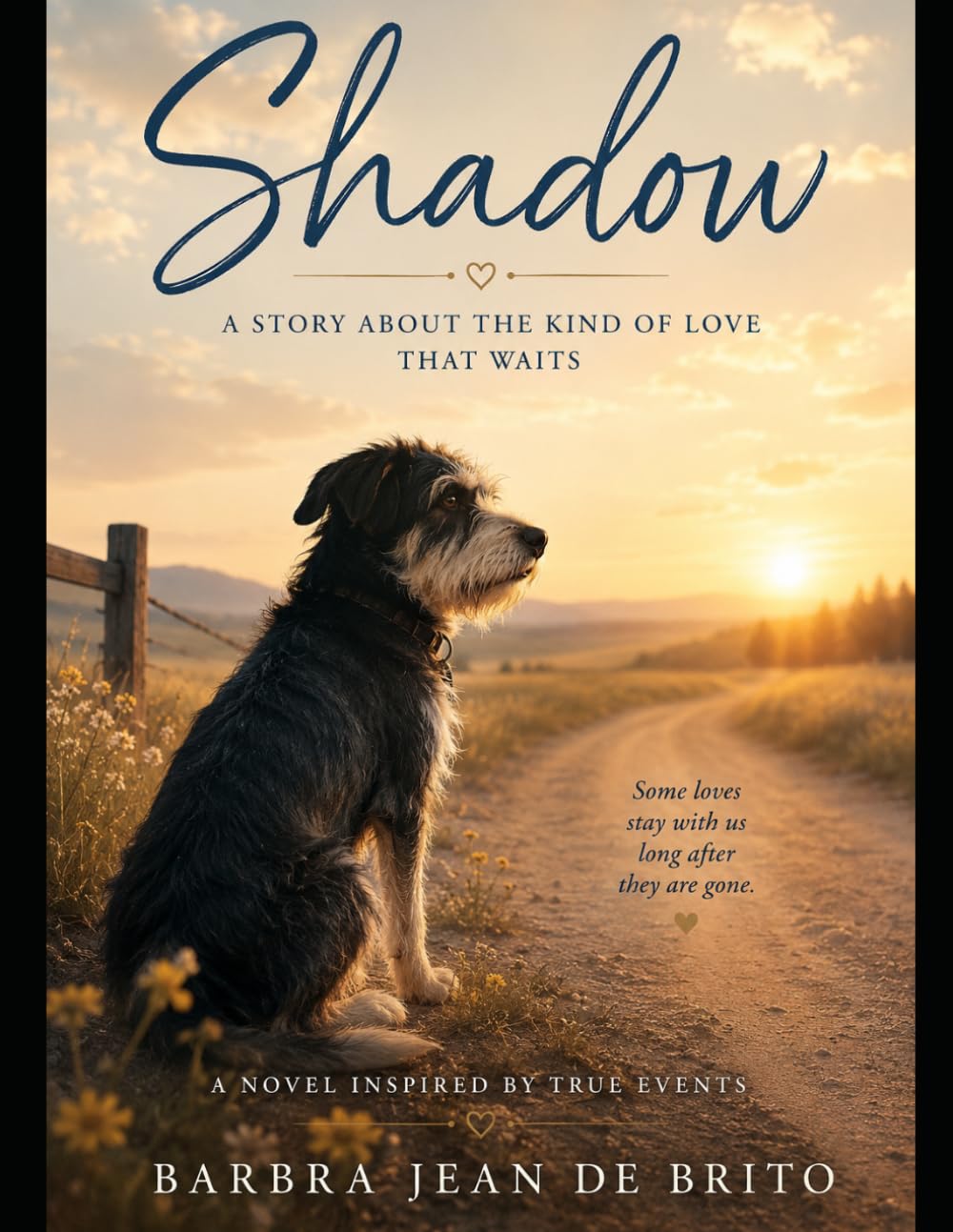 Shadow: A Story About the Kind of Love That Waits