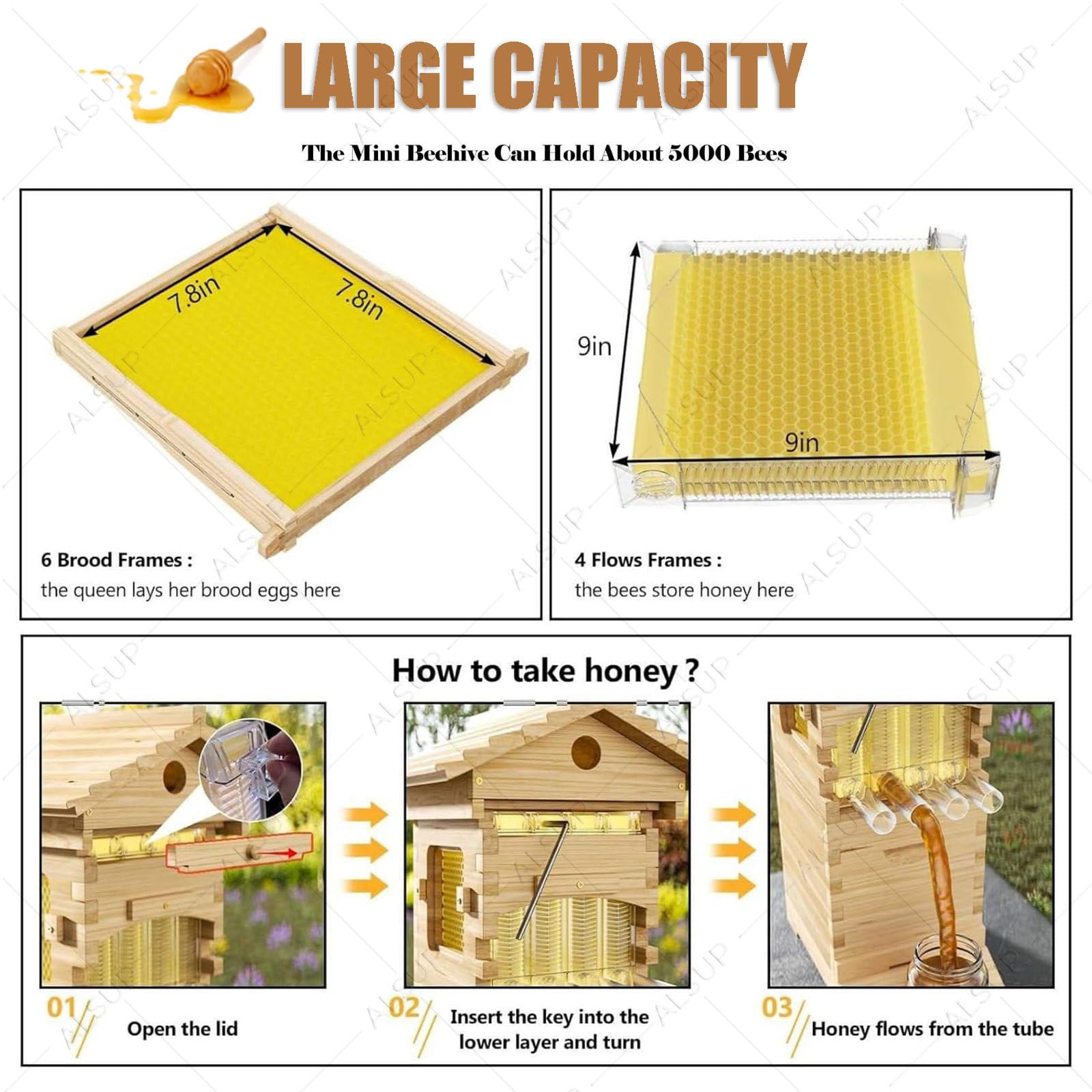 Kit de Inicio de Colmena de Abejas Autofluyente, Caja de Madera para Apicultura con Ventana de Observación, Marcos Automáticos y Boquilla de Miel para Jardín