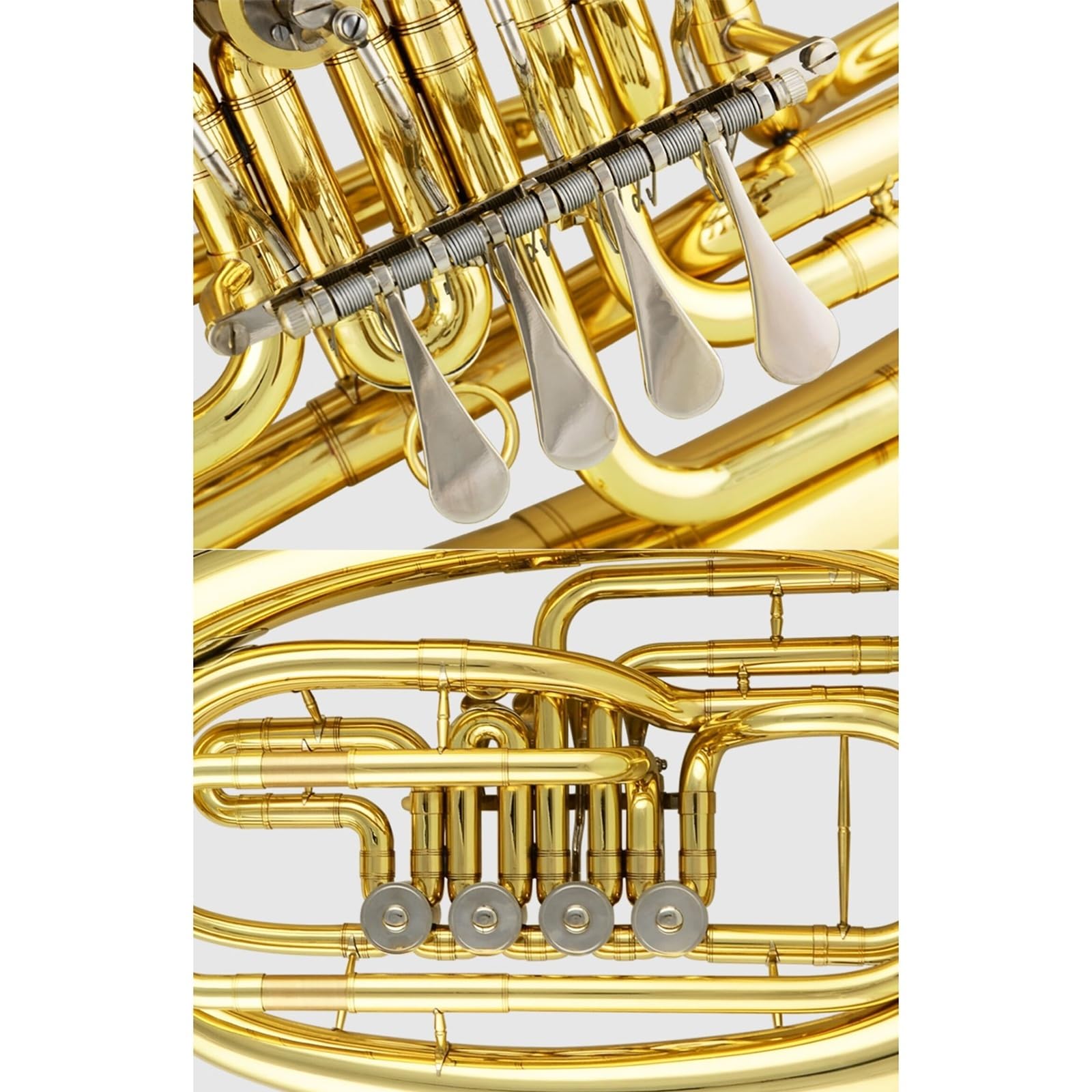 4-Tasten-Flachtasten-Euphonium, Messinglack, Gold, B-Dur, Studenten-Euphonium-Blechinstrument Mit Zubehör Euphonium für Anfänger
