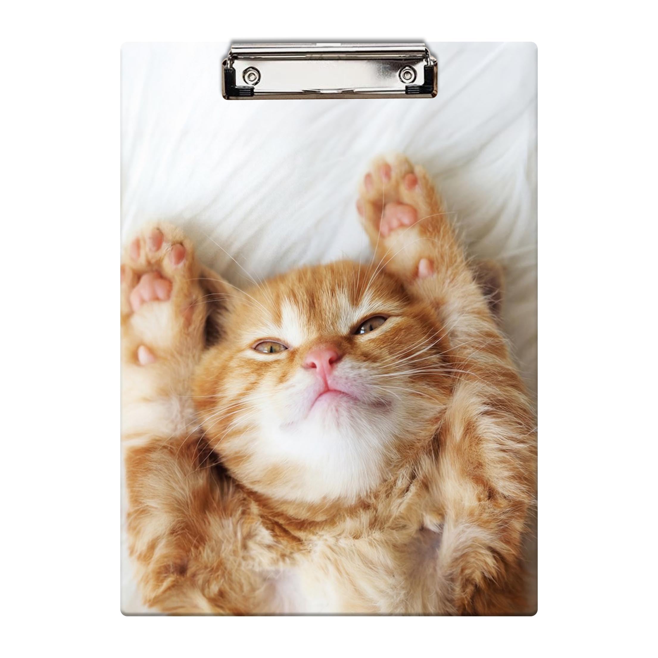 Britimes Clipboard, Hardboard, 12.6" x 8.9" Office School, Cat Cute