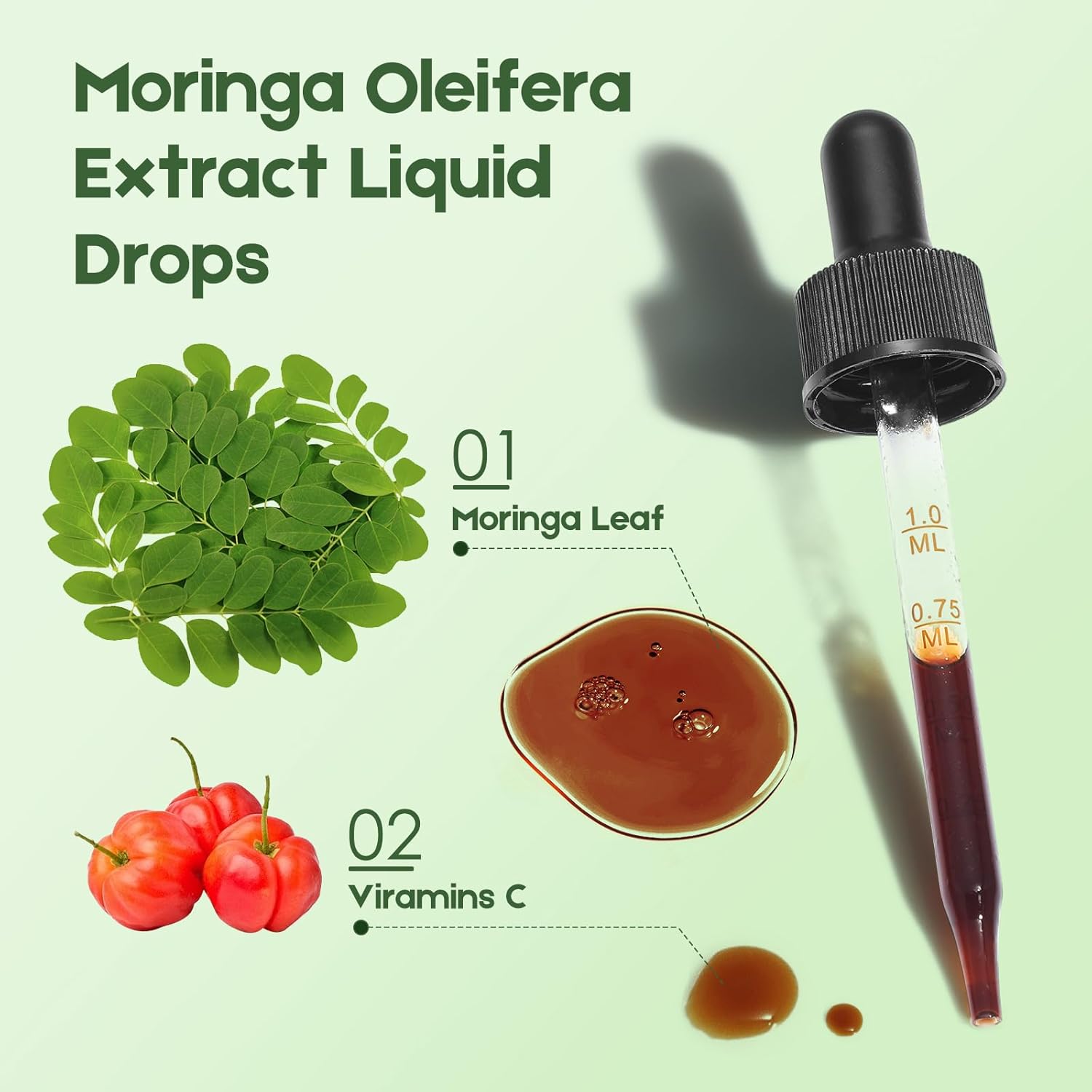 Moringa Leaf Drops with Vitamin C, Moringa Oleifera Extract Liquid Drops for Immunity Support,Antioxidant,Overall Health & Energy,Vegan Herbal Supplement 2 fl oz - Image 5