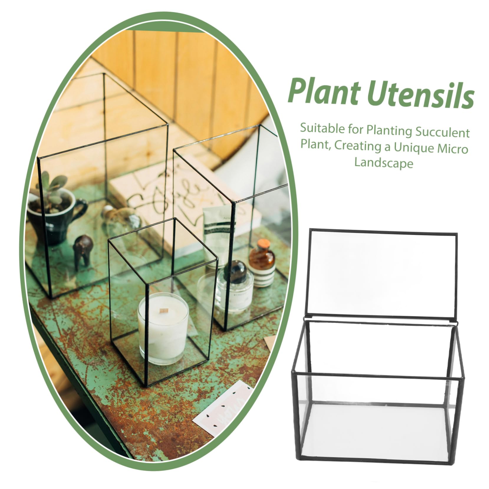 Terrario per Piante Succulente in Vetro per Casa e Giardino | Contenitore Paesaggio Fai da Te, Supporto per Piante e Fiori, Stile Semplice Naturale