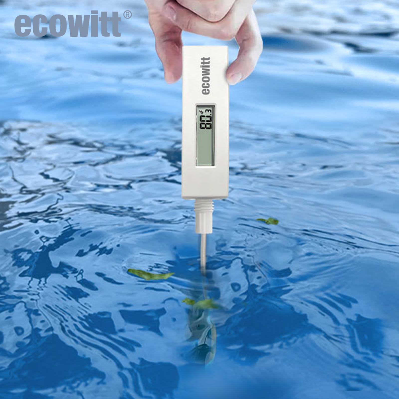 ECOWITT Pool Thermometer, digitaler wasserdichter Wassertemperatursensor mit LCD-Display, einfach zu montieren, 10-Fuß-Kabelsensor für Schwimmbäder, Whirlpools, Spas, Badewasser, Fischteiche WN34L