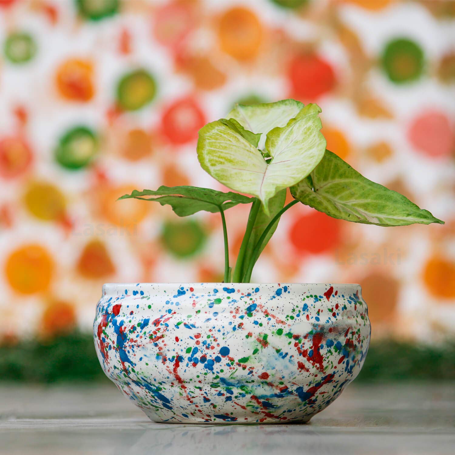 See full amazon price history chart for Lasaki Bowl Small Blue Ceramic Pots for Indoor Plants, Planters, Flower, Pots, gamla, Outdoor, Balcony, Home, Garden, Office Decor, Succulent Pot(D - 15 X H - 8 cm)(Plants not Included) Lasaki Bowl Small Blue Ceramic Pots for Indoor Plants, Planters, Flower, Pots, gamla, Outdoor, Balcony, Home, Garden, Office Decor, Succulent Pot(D - 15 X H - 8 cm)(Plants not Included) (B0778VQLFD) Amazon Price History, Amazon Price Tracker
