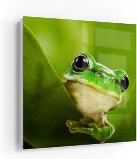 DEQORI Caja para llaves de color blanco, 30 x 30 cm, diseño de cartel verde, caja para llaves de cristal y metal, armario para llaves con 50 ganchos + 2 imanes, caja de diseño moderno magnético y se