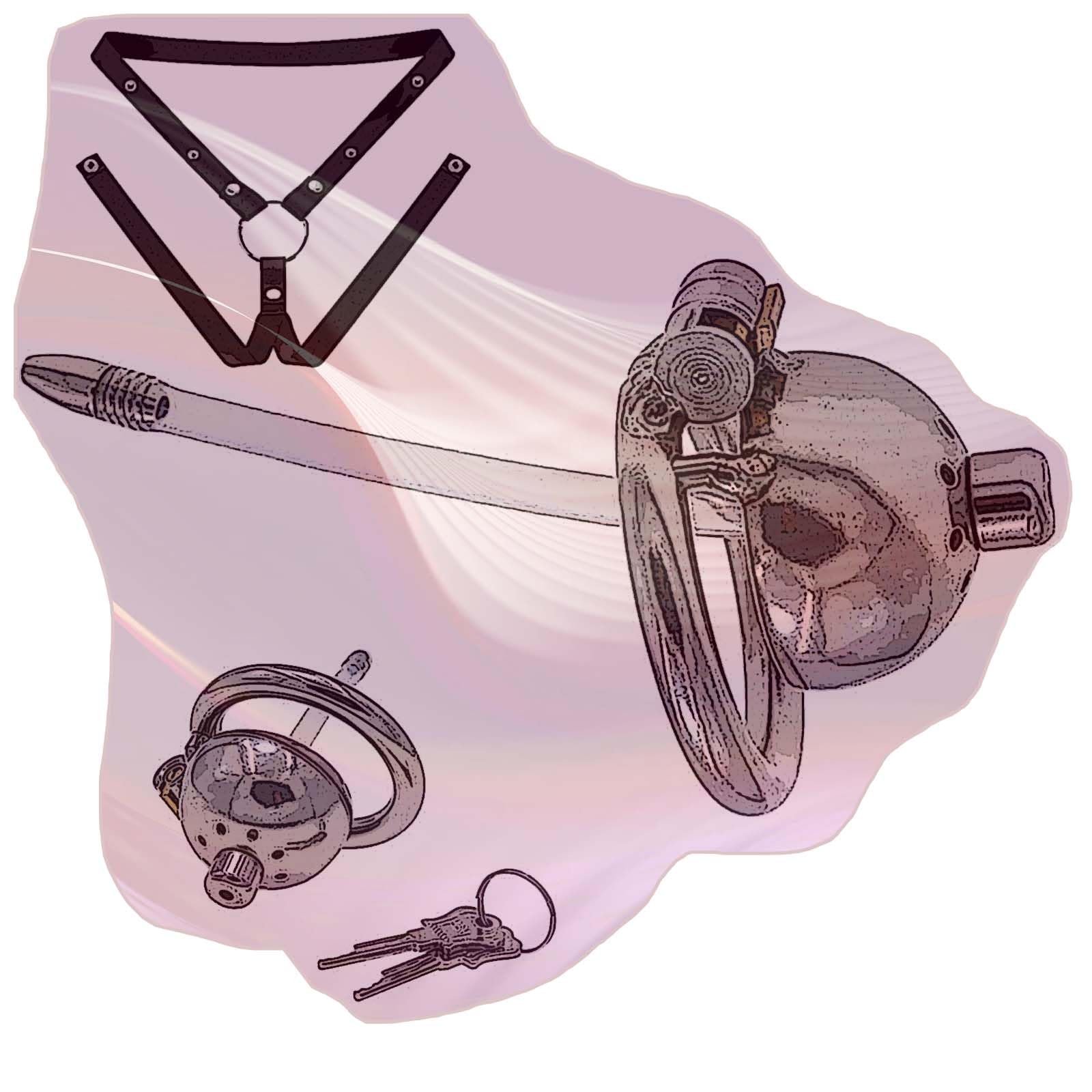 Gabbia Fitness in Acciaio Inossidabile, Anello Opzionale in 4 Misure con 1 Tubo e 1 Cintura Regolabile, Mini Set Protettivo Invisibile -A62IT