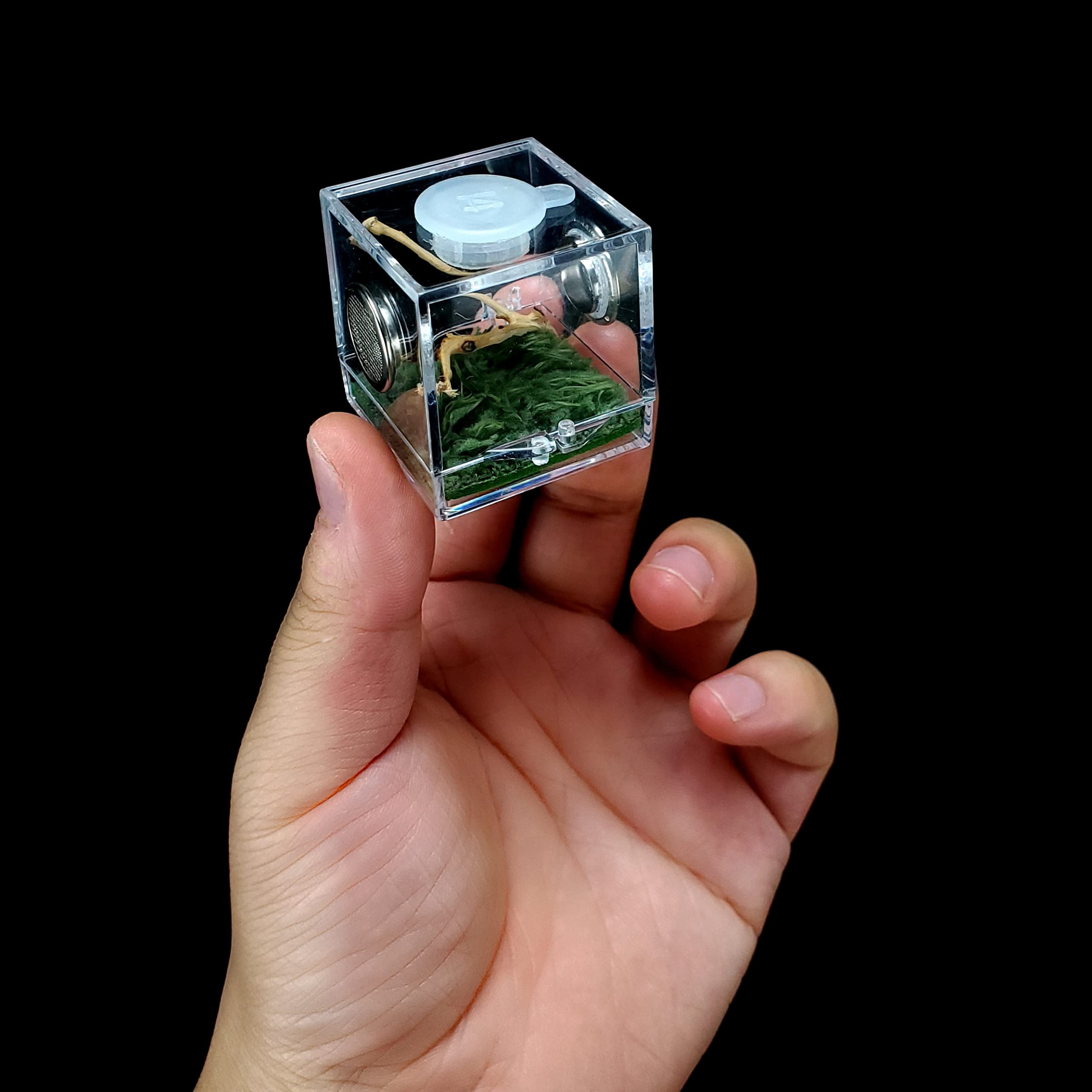 Hemobllo Spider Habitat Box – Transparentes Acryl-Terrarium Für Spinnen, Insekten, Kleine Reptilien