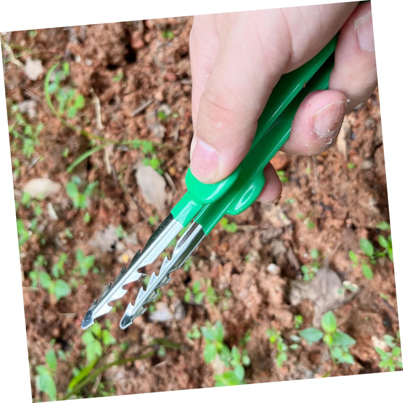 BESPORTBLE 3stücke Gartenwerkzeug Präzise Garten-tweezers Für Pflanzenpflege Ergonomisches Design Langlebig Und Tragbar Für Bonsai Und Haushalt Farben Variieren