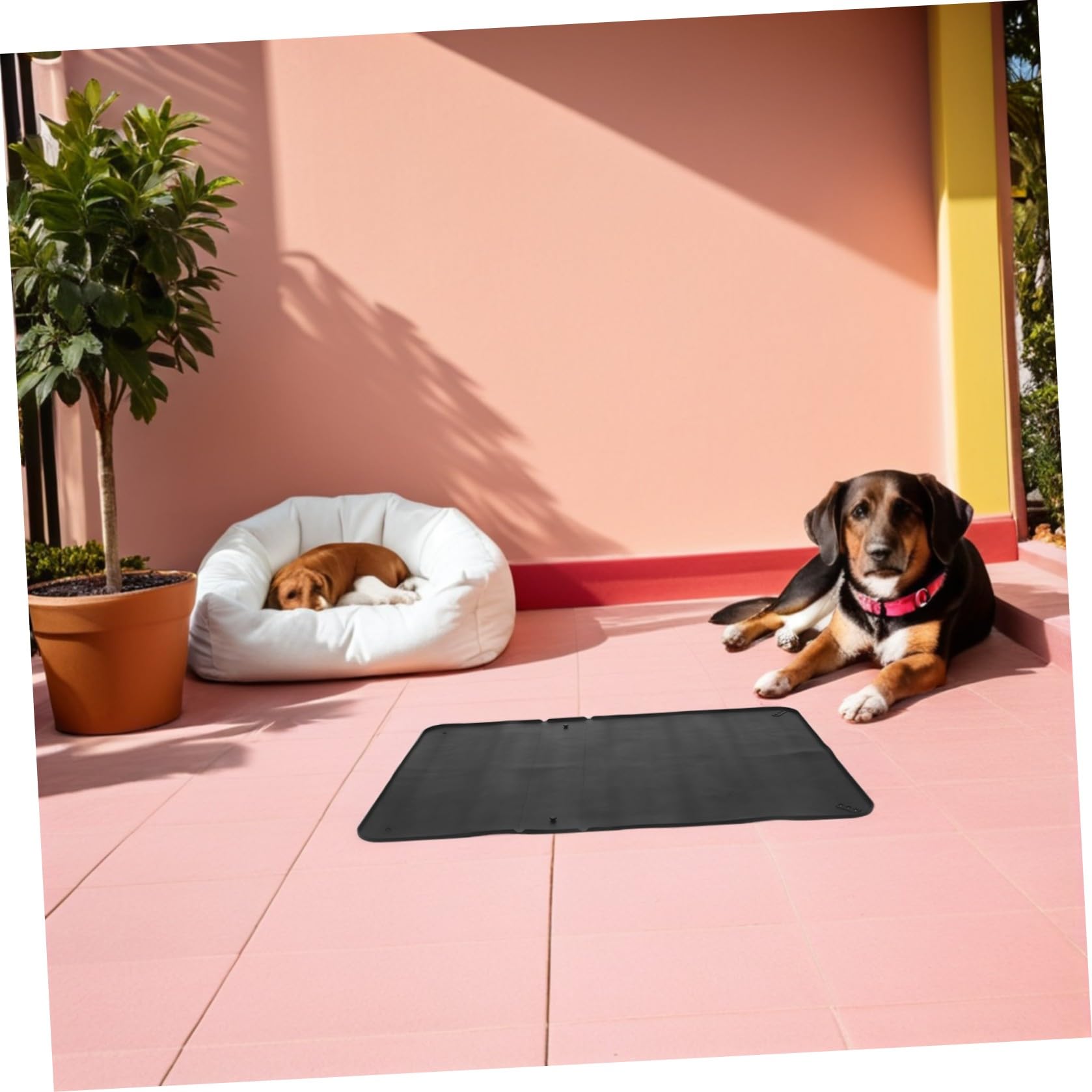 Generico Porta Traversine Tappetino Igienico in Silicone Nero Antiscivolo per per Cani Pieghevole Salvaspazio per Addestramento e Viaggi e Adatto a Maschi e Femmine