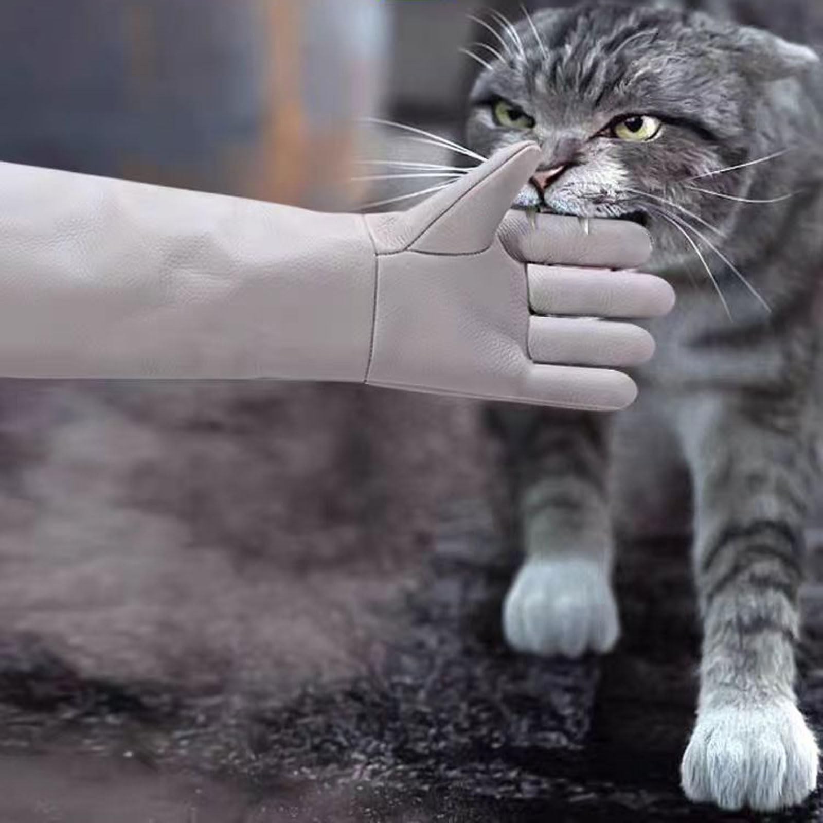 Gants Anti-Morsure,Gants De Traitement des,Gants de Soudure,Gants Renforcé Anti-Morsure,Résistant à l'usure,Indéchirable,Anti-crevaison,imperméable,pour Attraper Les Chiens,Les Chats