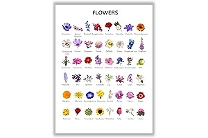 akyzag Design Rose Wall Art – Colorful Flowers Poster for Bedroom